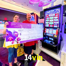 Daily Bonuses 14vin